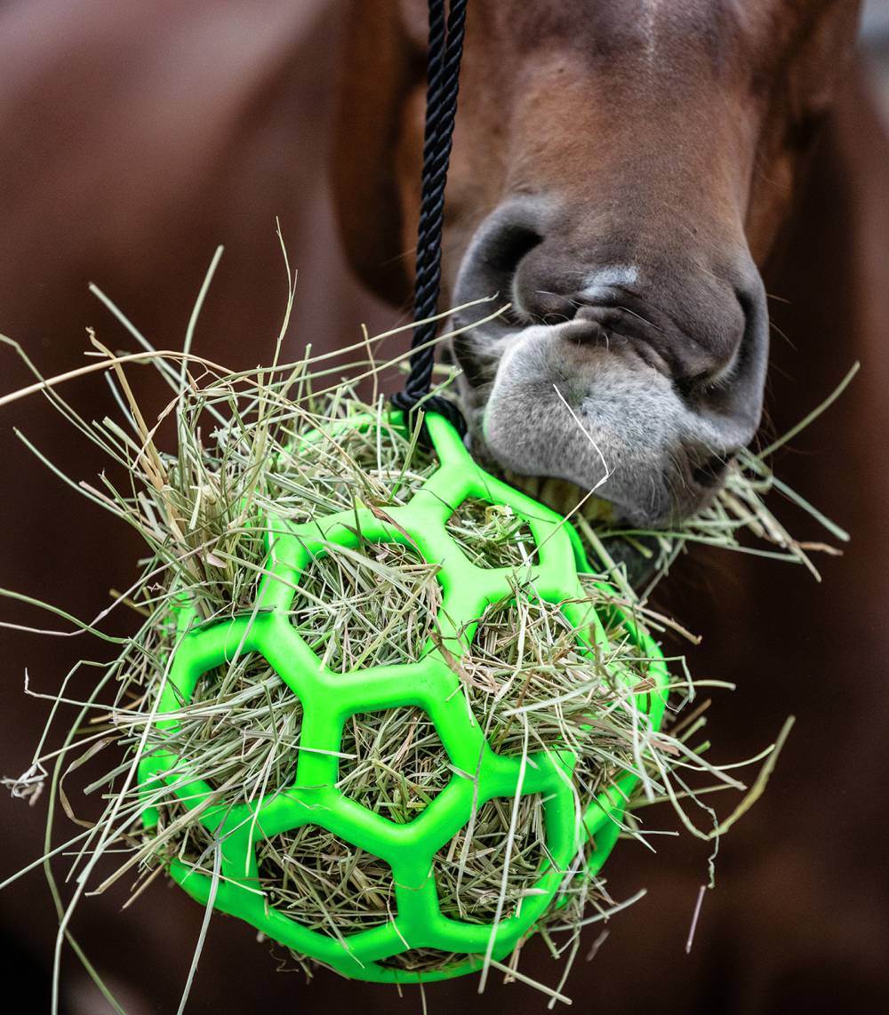 Balle  foin Jouet pour cheval