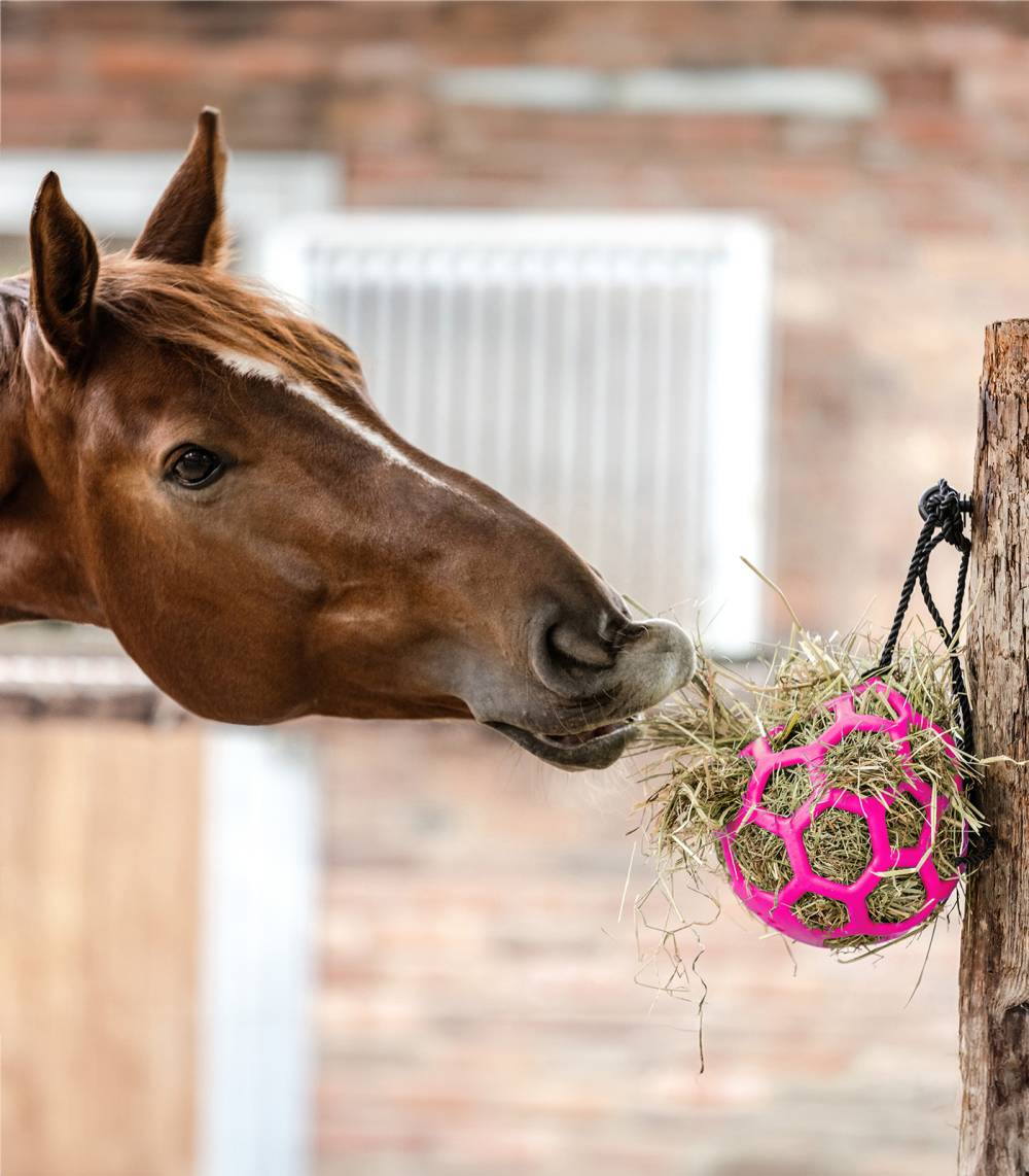 Balle à foin Jouet pour cheval