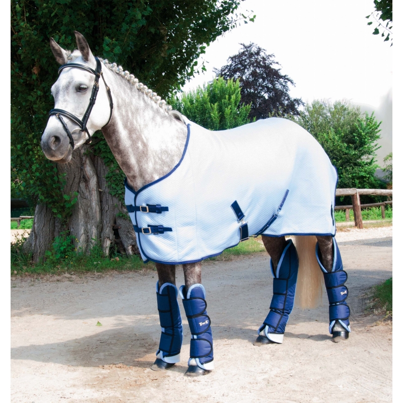 Chemise micro jersey multicouche schante pour chevaux