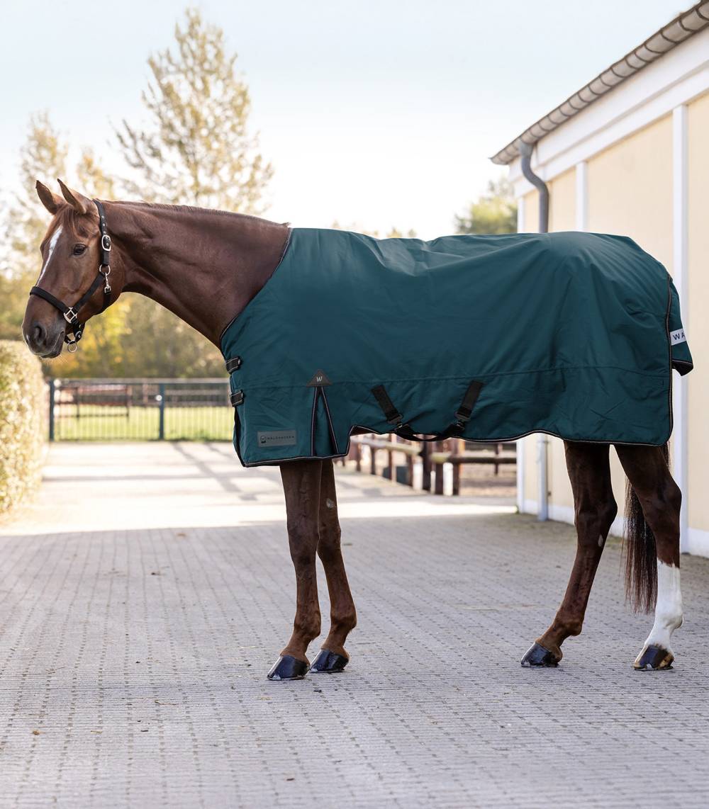 Couverture d'extérieur 50 g ARCTIC Couverture d'extérieur 50 g ARCTIC