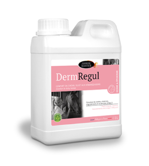 DERM REGUL Démangeaisons Dermite DERM REGUL Démangeaisons Dermite