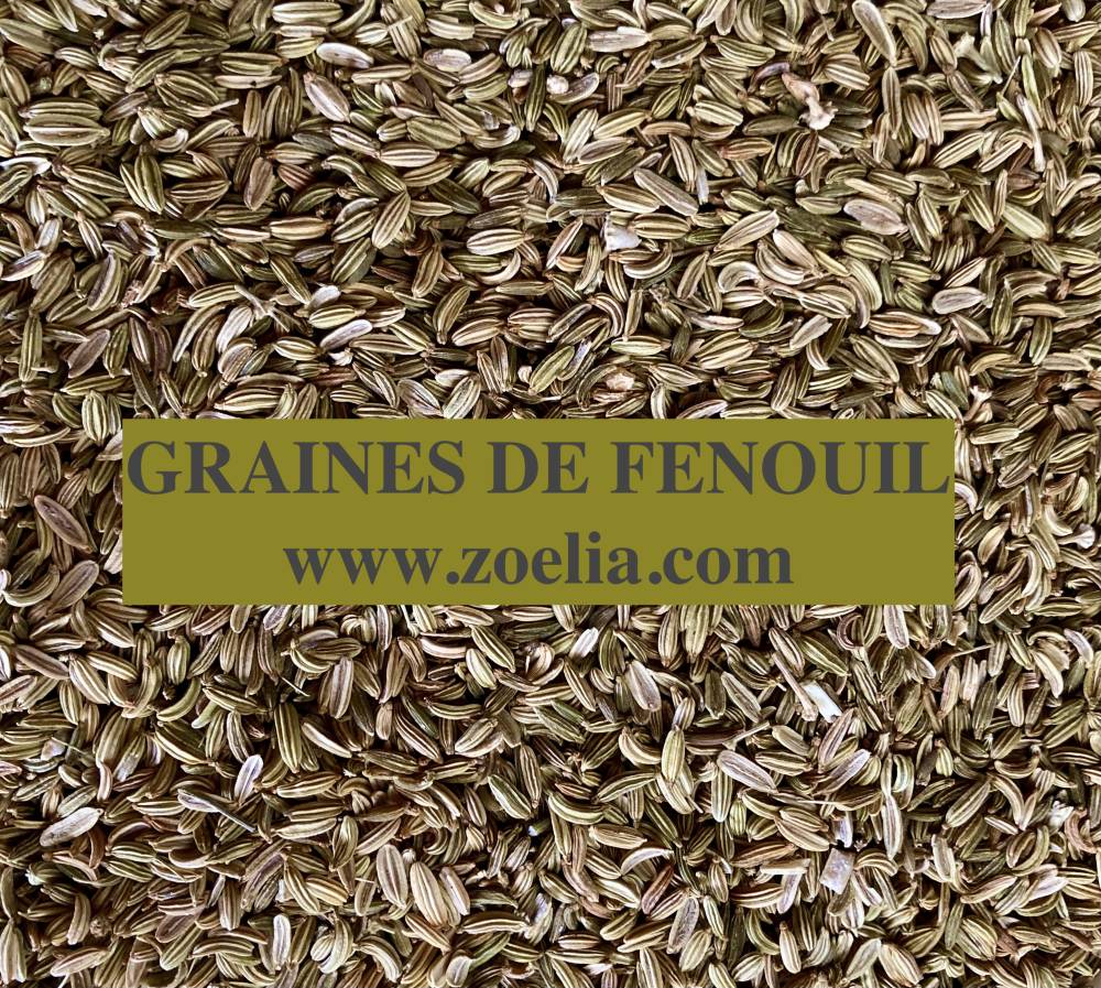 Fenouil Graines 1 Kg - Produits pour la digestion du cheval - Zoelia, la  boutique des animaux bien élevés.