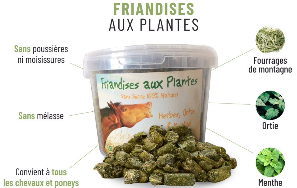 Friandises aux plantes pour chevaux Friandises aux plantes pour chevaux