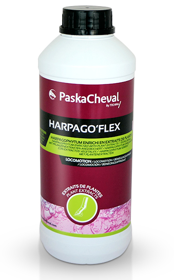 HARPAGO'FLEX Harpagophytum Chevaux
