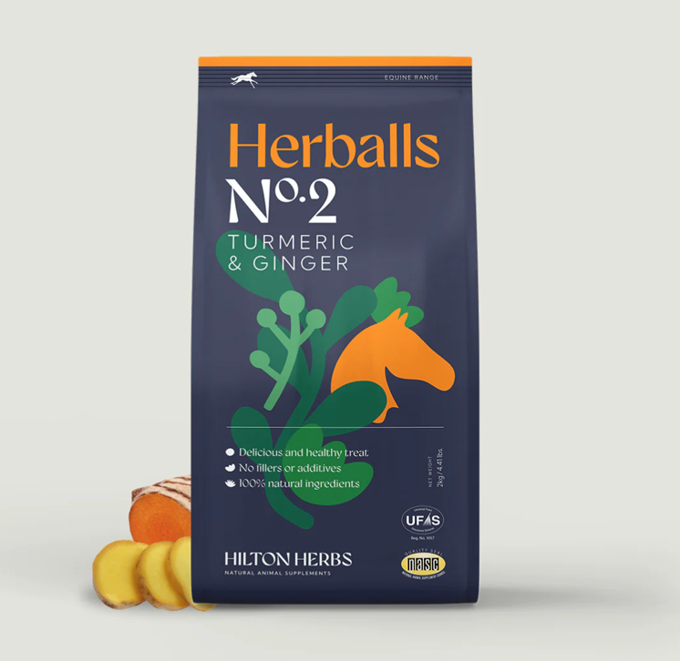 HERBALLS N°2 Curcuma et Gingembre Friandises pour chevaux HERBALLS N°2 Curcuma et Gingembre Friandises pour chevaux