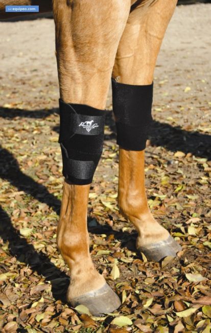 KNEE BOOTS Protège genoux Genouillère pour chevaux