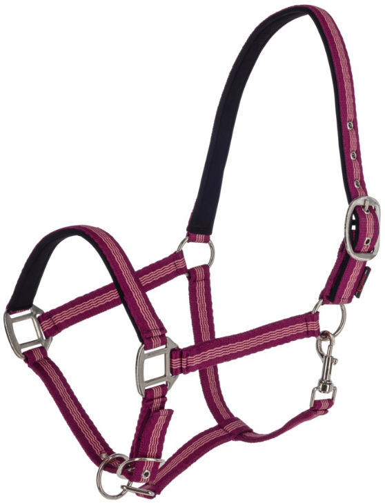 Licol MUSTANG Licol MUSTANG