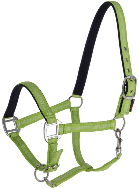 Licol MUSTANG Licol MUSTANG