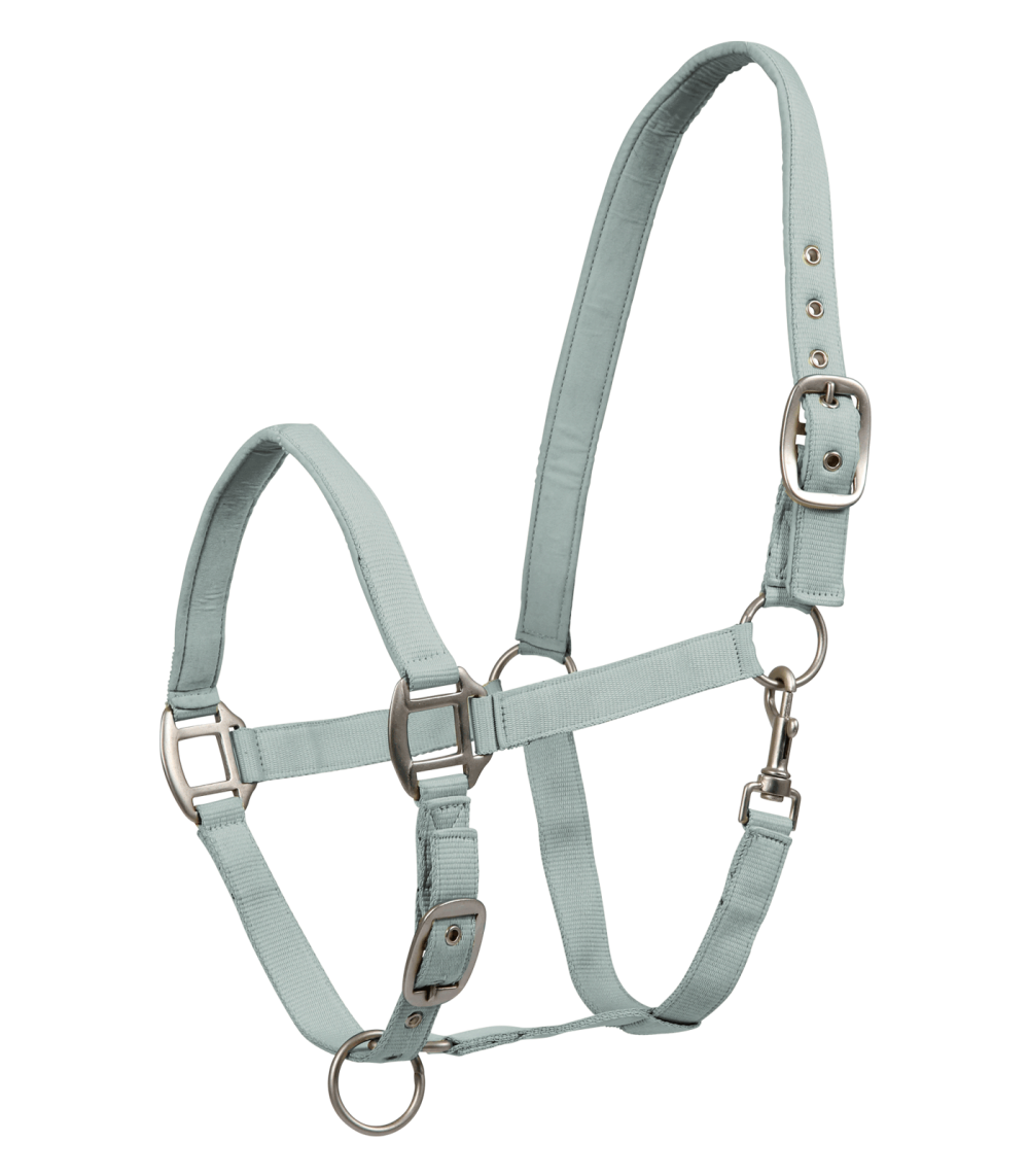 Licol SATIN Licol SATIN