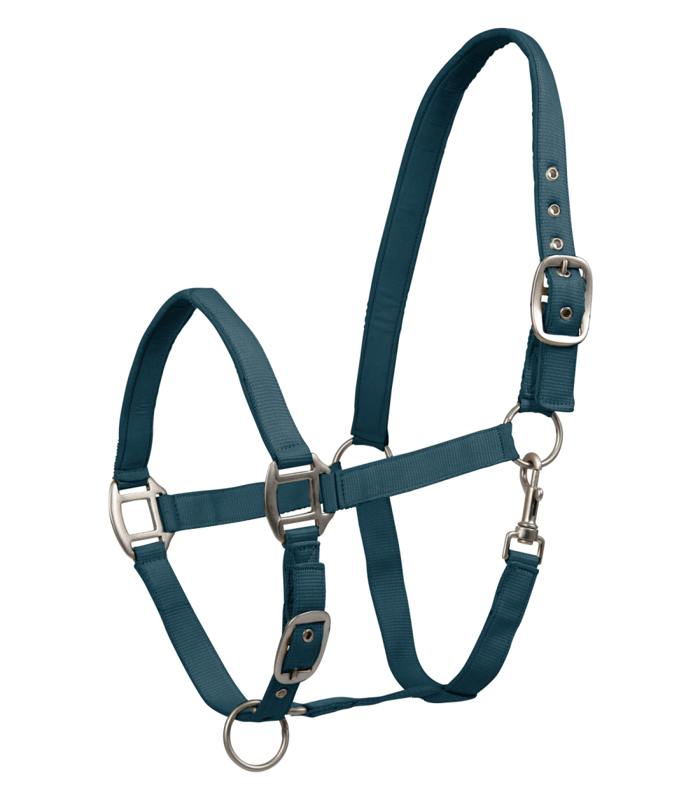 Licol SATIN Licol SATIN