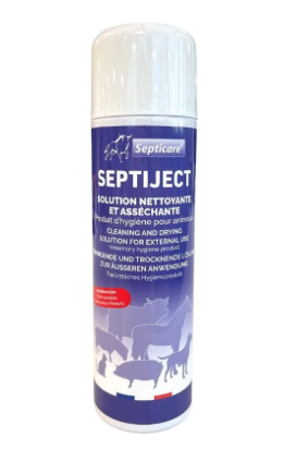 SEPTIJECT 500 ml SEPTICARE