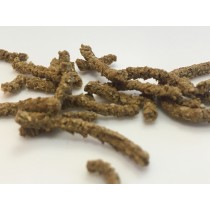 STOMACH Probiotique Chevaux STOMACH Probiotique Chevaux