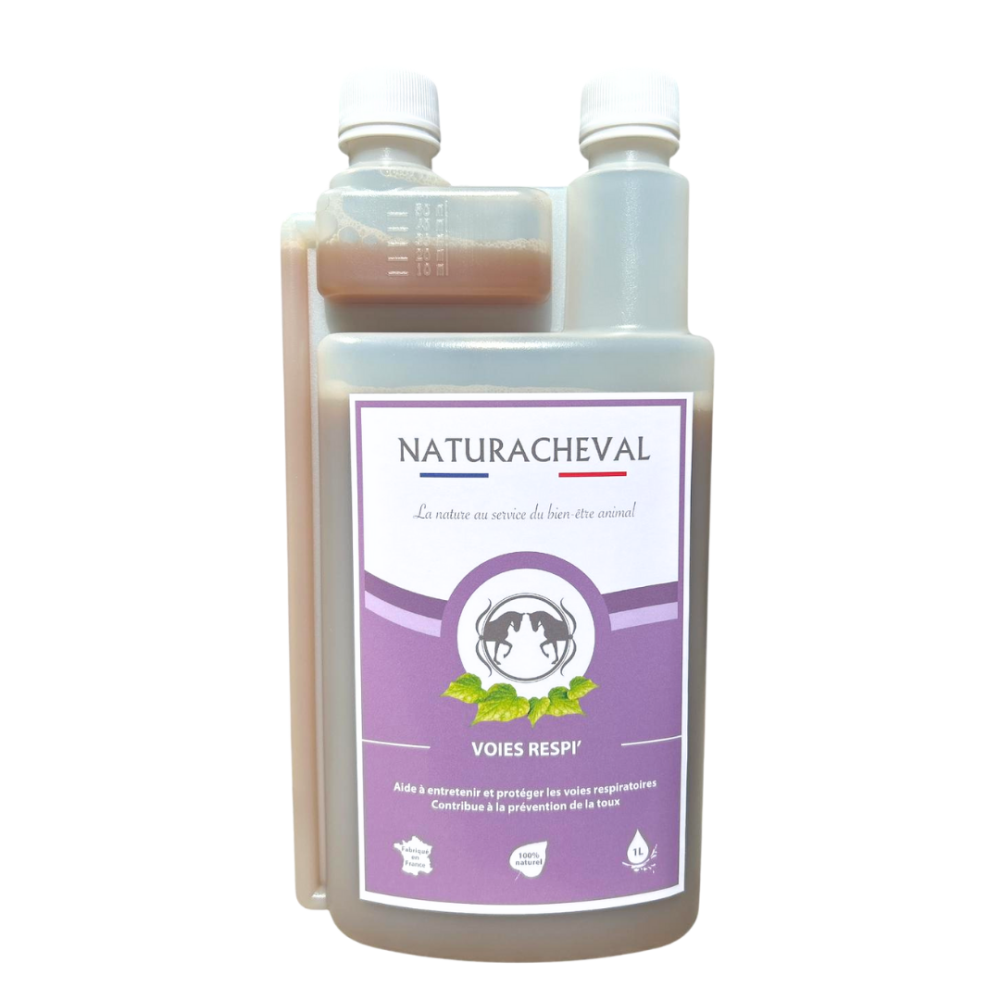 VOIES RESPI Respiration Cheval VOIES RESPI Respiration Cheval